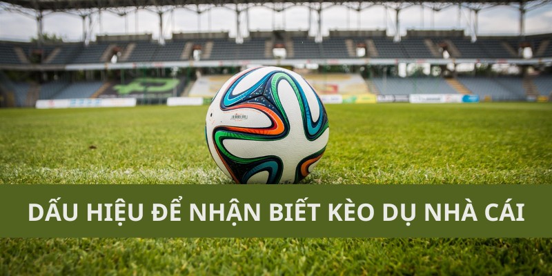 Dấu hiệu để nhận biết kèo dụ nhà cái