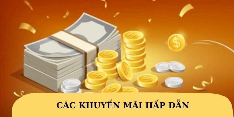 Khuyến mãi hấp dẫn dành cho mọi thành viên