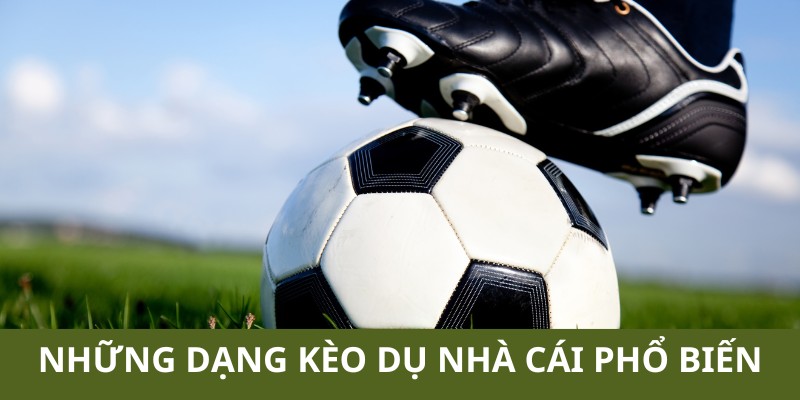 Những dạng kèo dụ nhà cái phổ biến